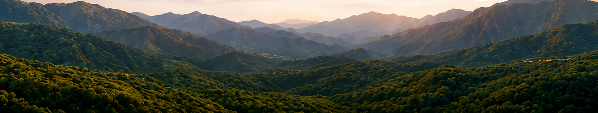Aravali range and green forest view from the front side