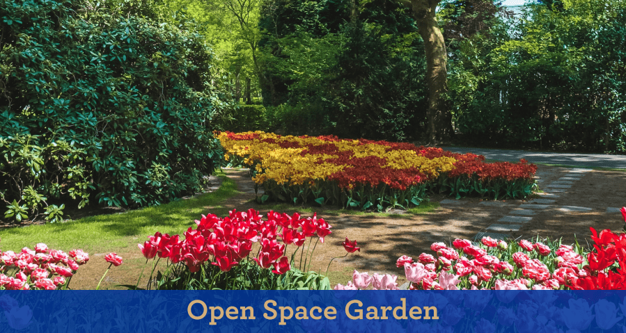 Paras Florett Garden