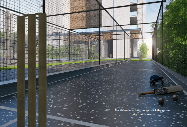 Tulip Melrose Cricket Pitch