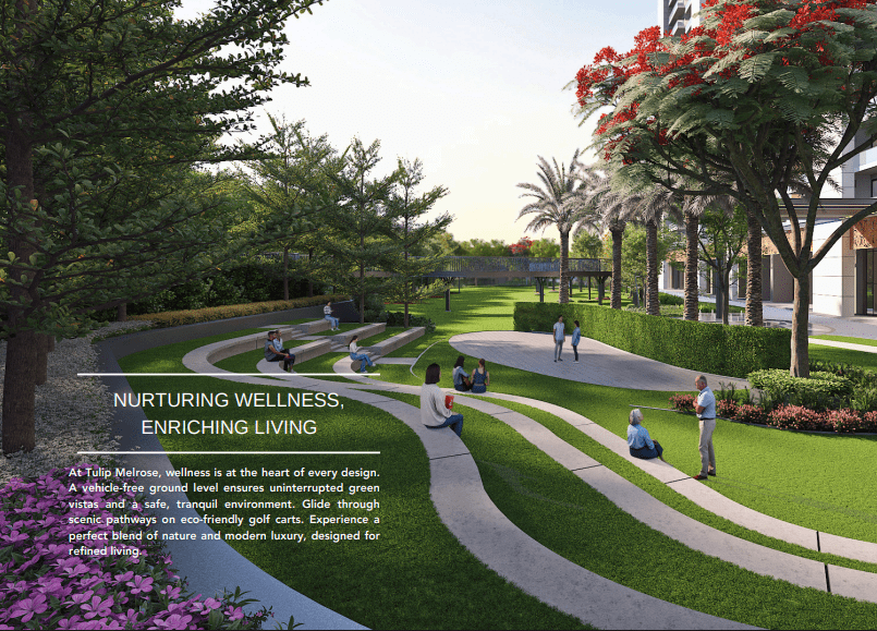 Tulip Melrose Nurturing Wellness